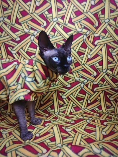 French Fries! - Fleece