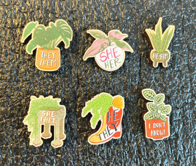 PLANT PRONOUNS Wooden Pins (6 Options)