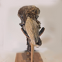 Replica Mummified Dodo bird head! Scientifically accurate and life size!-5