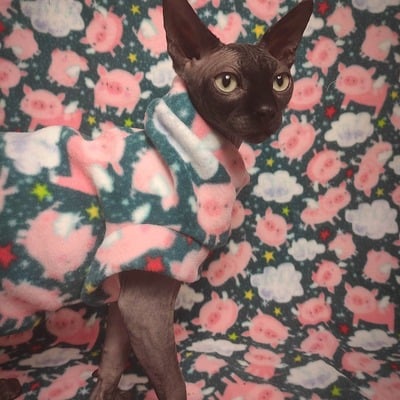 Pigs fly - luxe fleece