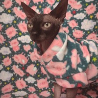 Pigs Fly - Luxe Fleece - Thumbnail 4