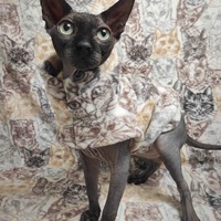 Pussy Control - Luxe Fleece - Thumbnail 2