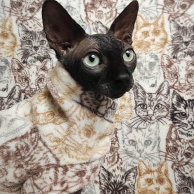 Pussy control - luxe fleece