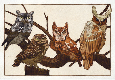 owls postcard