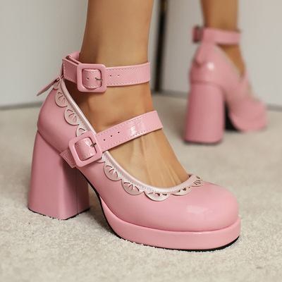 Sweet Lace Mary Jane Heels Shoes