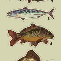 Fish magnets 2025 - Thumbnail 1