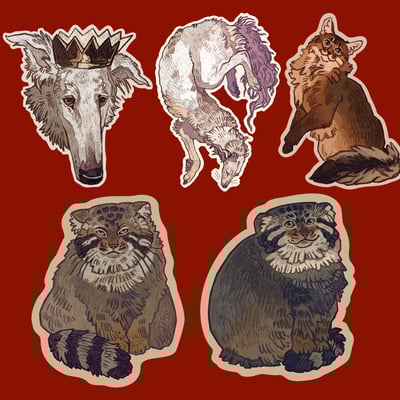 Magnets: dogs and cats