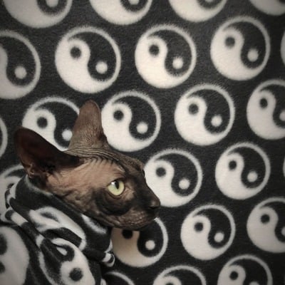 Yin and yang - lightweight fleece