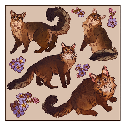Somali cat (teodor) sticker sheet