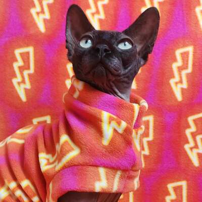 Neon lightning - luxe fleece