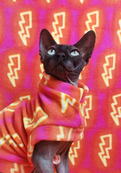 Neon Lightning - Luxe Fleece