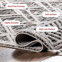 NuLOOM 9x12 Ansley Moroccan Tassel Area Rug – Stylish, Soft & Durable - Thumbnail 4