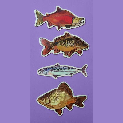 Fish magnets 2025