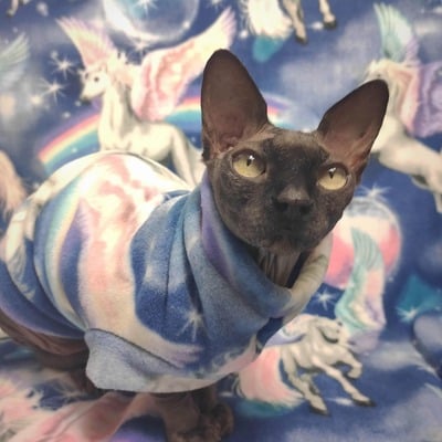 Pegasus fantasy - luxe fleece