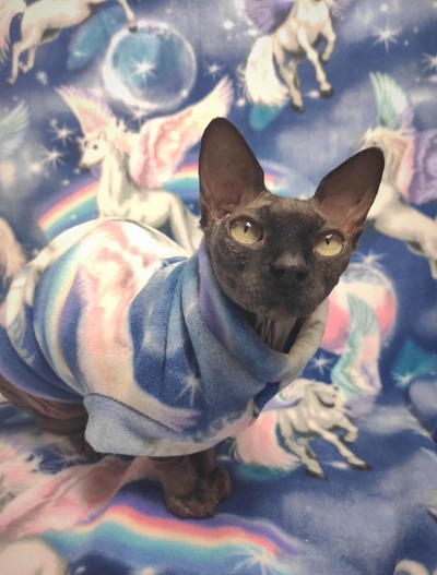 Pegasus Fantasy - Luxe Fleece