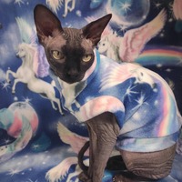 Pegasus Fantasy - Luxe Fleece - Thumbnail 1