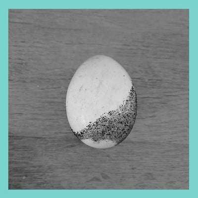 Aalfang mit pferdekopf & emerge 'die kosmische zygote + pausenmusik' c-90 - Thumbnail 2