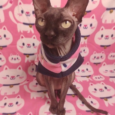 Lucky pussy - fleece