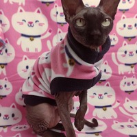 Lucky Pussy - Fleece - Thumbnail 2