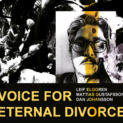 Leif elggren & mattias gustafsson & dan johansson 'voice for eternal divorce' cd