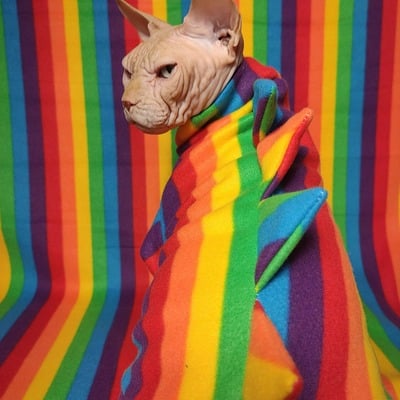 Rainbow bridge - gargoyle 