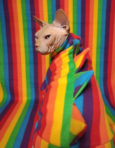 Rainbow Bridge - Gargoyle 