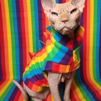 Rainbow Bridge - Gargoyle  - Thumbnail 2