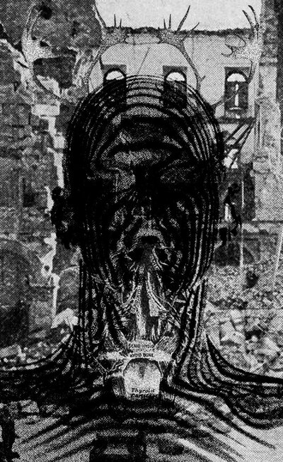 Government Alpha 'Metaphor Of Nostalgia' C-30