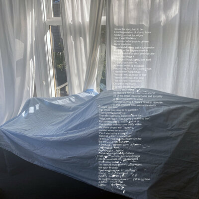 Red Wine And Sugar 'Donkeys Are Led by Donkeys' 10"