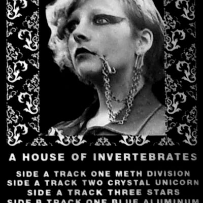 Amputation theory 'a house of invertebrates' c-30