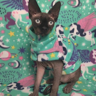 Pegasus universe - fleece