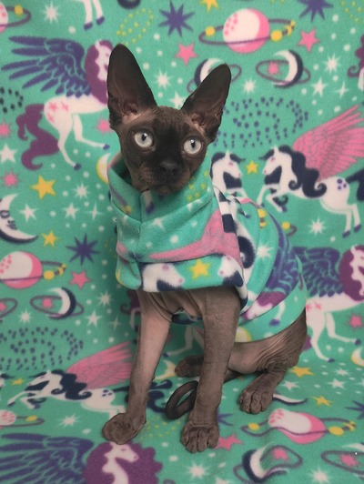 Pegasus Universe - Fleece