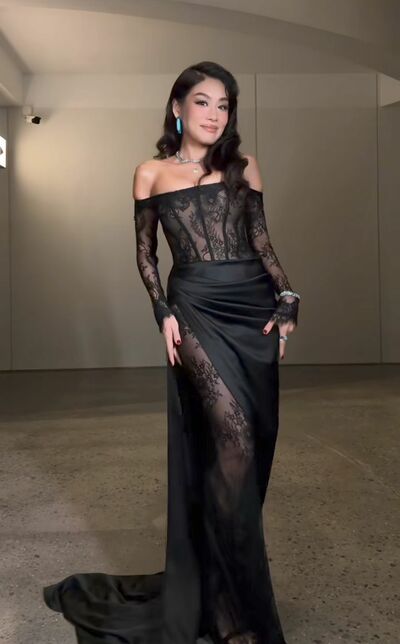 Elegant Black Lace Prom Dress Formal Evening Dresses
