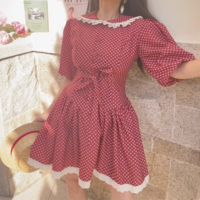 Retro polka dot sweet lace edge lapel small floral waist dress - Thumbnail 5