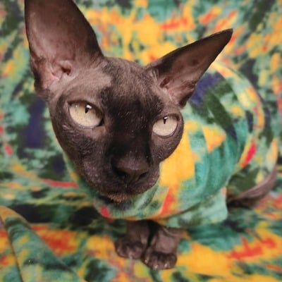 Guggenheim - luxe fleece