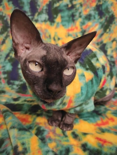 Guggenheim - Luxe Fleece