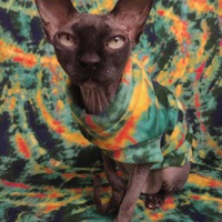 Guggenheim - Luxe Fleece - Thumbnail 2