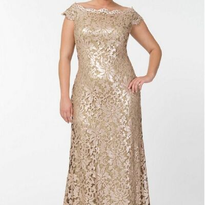 Champagne plus size lace mother of bride/ groom dress evening formal dress prom dress