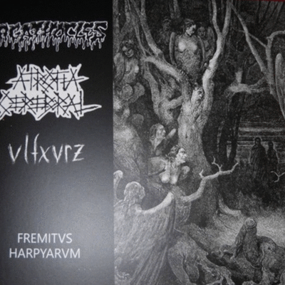 Cd: agathocles/atrofia cerebral/vlfxvrz "fremitvs harpyarvm"