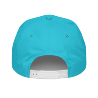 Principle Hat - Thumbnail 2