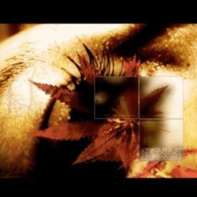 Cd: cephalic carnage "conforming to abnormality"