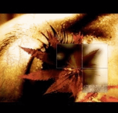 CD: Cephalic Carnage "Conforming To Abnormality"