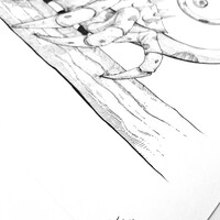 Drawing by Dhani Barragan "Singular chameleon"  - Thumbnail 3