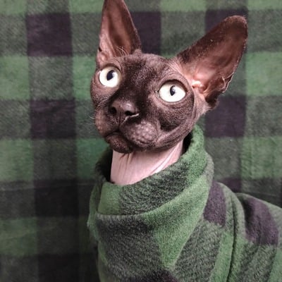 Green machine plaid - luxe fleece