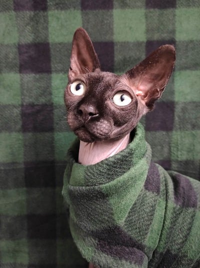 Green Machine Plaid - Luxe Fleece