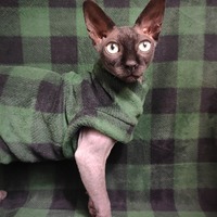 Green Machine Plaid - Luxe Fleece - Thumbnail 1