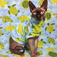 Turtle Time - Fleece - Thumbnail 1