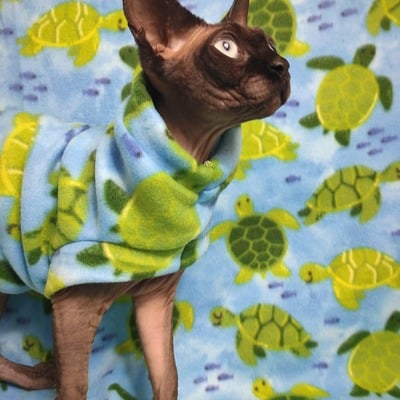 Turtle time - fleece