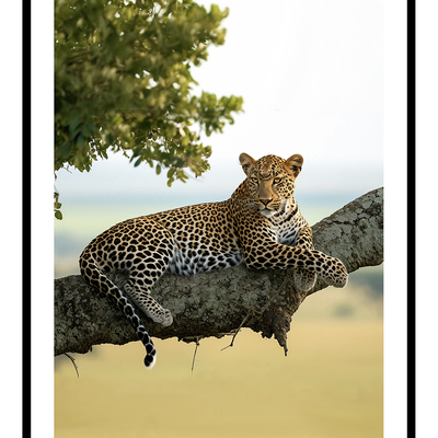 Resting leopard art print