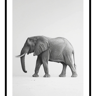 African elephant (a) art print